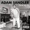 The Chanukah Song, Pt. 2 (Live Version) by Adam Sandler song lyrics