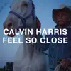 Feel So Close (Radio Edit) by Calvin Harris song lyrics