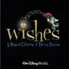 Walt Disney World Wishes - A Magical Gathering of Disney Dreams by Disney World Attraction album lyrics