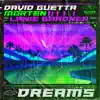 Dreams (feat. Lanie Gardner) by David Guetta & MORTEN song lyrics