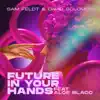 Future In Your Hands (feat. Aloe Blacc) by Sam Feldt & David Solomon song lyrics