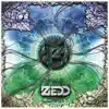 Clarity (feat. Foxes) by Zedd song lyrics