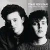 Everybody Wants to Rule the World by Tears for Fears song lyrics
