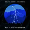 This Is What You Came For by Calvin Harris & Rihanna song lyrics
