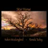 Star Horse (Live) by Kelvin Mockingbird & Renick Turley album lyrics