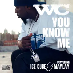 You Know Me (feat. Ice Cube & Maylay) Song Lyrics