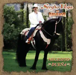 Necesito Dueña (Ranchera Version) Song Lyrics