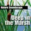 Deep In the Marsh (Nature Sounds Only) album lyrics, reviews, download