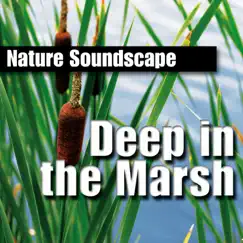 Deep In the Marsh (Nature Sounds Only) by Nature Sounds album reviews, ratings, credits