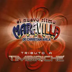 Tributo a Timbiriche by El Nuevo Ritmo Maravilla album reviews, ratings, credits