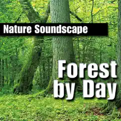 Forest By Day (Nature Sounds Only) by Nature Sounds album reviews, ratings, credits