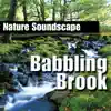 Babbling Brook (Nature Sounds Only) album lyrics, reviews, download
