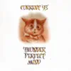 Thunder Perfect Mind album lyrics, reviews, download