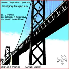 Bridging the Gap - EP by Homero Espinosa & DJ Denise album reviews, ratings, credits