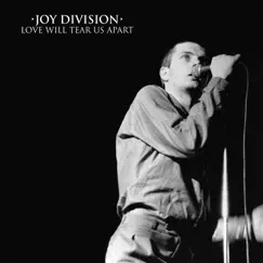 Love Will Tear Us Apart - Single by Joy Division album reviews, ratings, credits