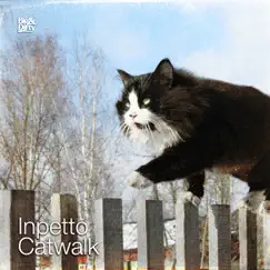Catwalk (Original Edit) Song Lyrics