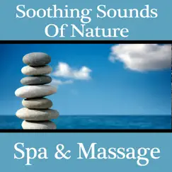 Soothing Sounds of Nature: Spa & Massage by Pro Sound Effects Library album reviews, ratings, credits
