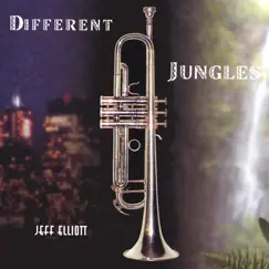 Different Jungles by Jeff Elliott album reviews, ratings, credits