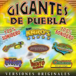 La Flauta del Gigante Song Lyrics