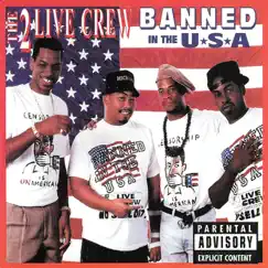 Banned In the USA Song Lyrics