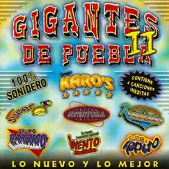 Gigantes de Puebla II by Various Artists album reviews, ratings, credits