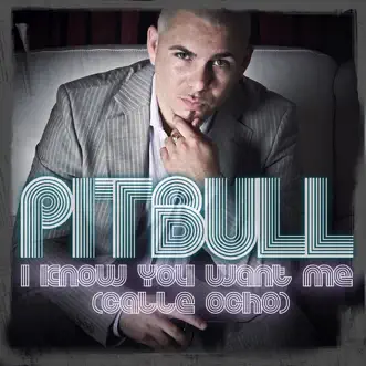 I Know You Want Me (Calle Ocho) [More English Extended Mix] by Pitbull song lyrics, reviews, ratings, credits