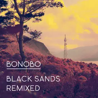 Download The Keeper (Banks Remix) [feat. Andreya Triana] Bonobo MP3