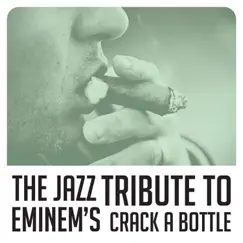 Crack a Bottle - Single by Vitamin Jazz album reviews, ratings, credits