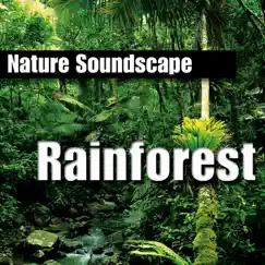 Rainforest (Nature Sounds Only) by Nature Sounds album reviews, ratings, credits
