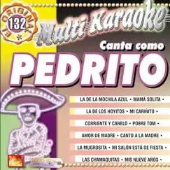Canto A La Madre (Karaoke Version) Song Lyrics