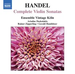 Violin Sonata No. 7 in D major, Op. 1, No. 13, HWV 371: II. Allegro Song Lyrics