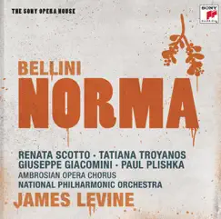 Norma - Tragedia Lirica In Due Atti: Vieni In Roma, Ah, Vieni, O Cara (Pollione, Adalgisa) Song Lyrics