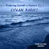 Relaxing Sounds of Nature - OCEANS album lyrics, reviews, download