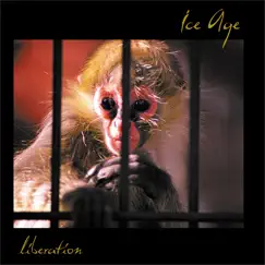 Liberation by Ice Age album reviews, ratings, credits