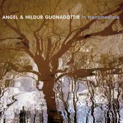 In Transmediale - Single by Hildur Guðnadóttir album reviews, ratings, credits