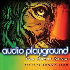 You Never Know [feat. Snoop Lion] [English] Song Lyrics