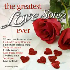 Sea of Love Song Lyrics