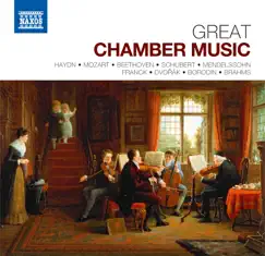 String Quintet No. 4 in G Minor, K. 516*: III. Adagio ma non troppo Song Lyrics