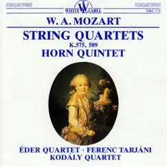 Quintet in E flat major for Horn, Violin, Two Violas and Cello K.407: III. Rondo. Allegro Song Lyrics