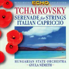 Serenade for Strings in C major Op.48 - II. Walzer. Moderato. Tempo di Valse Song Lyrics