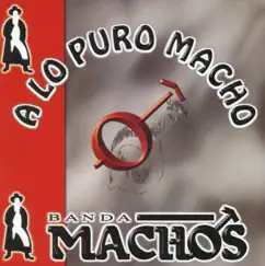 Los Machos Tambien Lloran Song Lyrics
