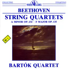String Quartet No. 17 in F major Op. 135: IV. Der schwer gefasste Entschluss. Grave. Allegro - Grave, ma non troppo tratto - Allegro Song Lyrics