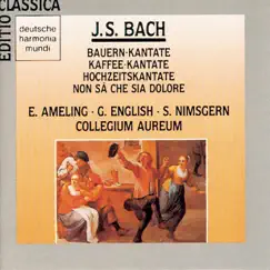 Cantata No. 202: Weichet nur, betrübte Schatten, BWV 202, 