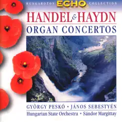 Concerto for Organ, Violin, Cello, Two Oboes, Strings and Basso Continuo in G minor Op.4 No 3 HWV 291 - II. Allegro Song Lyrics