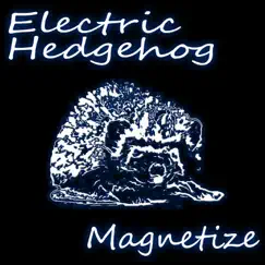 Magnetize by Electric Hedgehog album reviews, ratings, credits