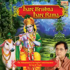 Bhaj Hare Krishna Song Lyrics