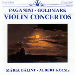 Concerto No. 1 in D major for Violin and Orchestra Op. 6: II. Adagio espressivo Song Lyrics