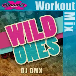 Wild Ones (Dynamix Workout Mix) Song Lyrics