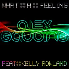 What a Feeling (Radio Edit) [feat. Kelly Rowland] Song Lyrics