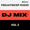 FeelMyBicep Radio, Vol. 2 (DJ Mix) album lyrics, reviews, download